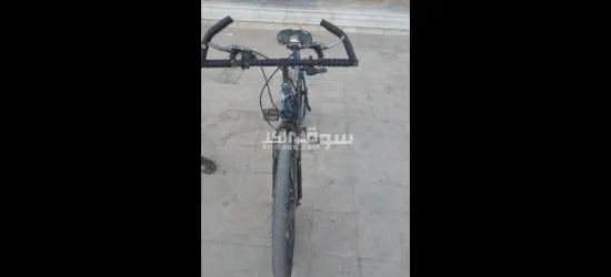 بسكليت للبيغ