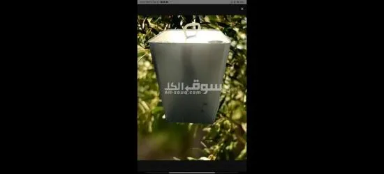 زيت زيتون نخب اول ا****ترا - 3