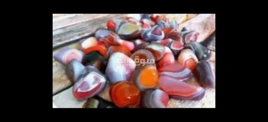 دكتورة فاطمة