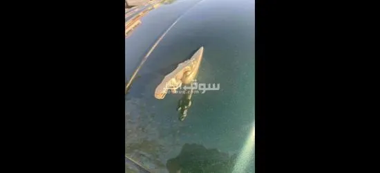 ادلب الدانا - 6