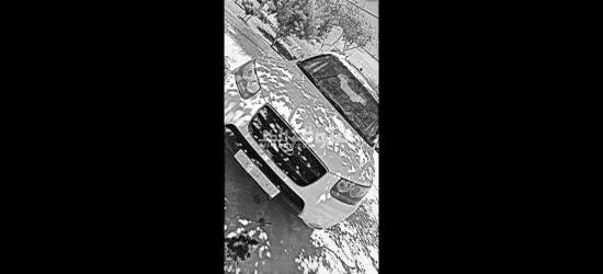 حلبون شارع الفاخوخ بيت نايف اغوان - 4