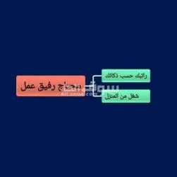 توظيف للتفاصيل تعال/ي خاص